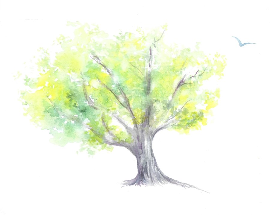 Arbre — symbole de l'accompagnement transgénérationnel